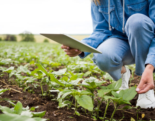 mujer-comprobando-sus-plantas-espacio-copia